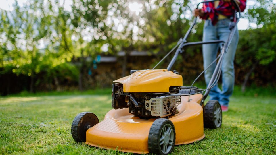 �� ������ ��� ��������: ��� ��� ��� ���������� ��������� �����