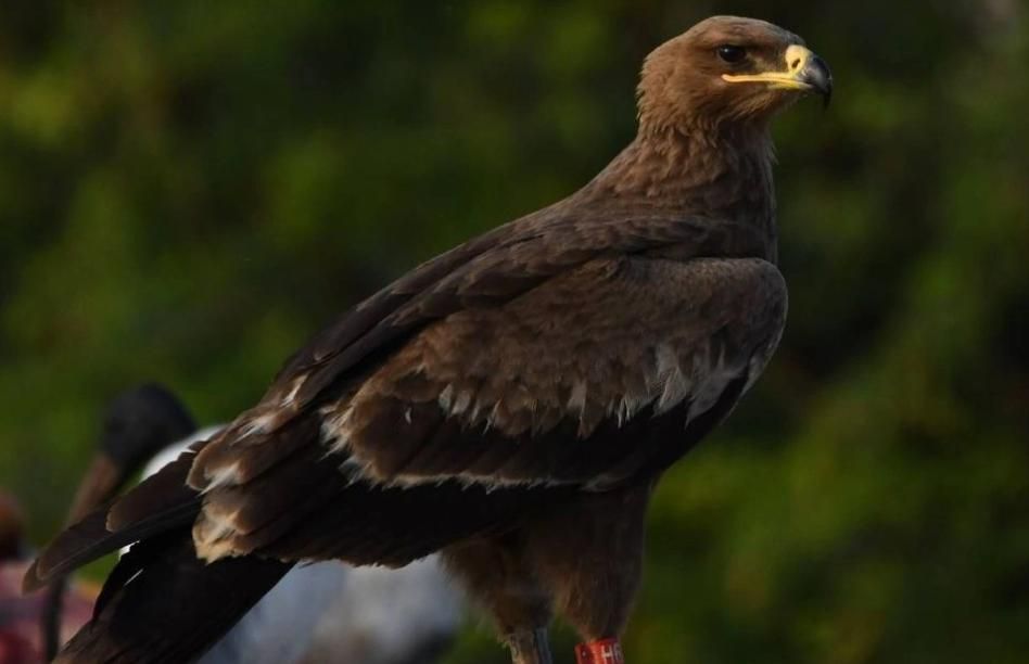 1 ������� ���� �� �������� ��������� � �����