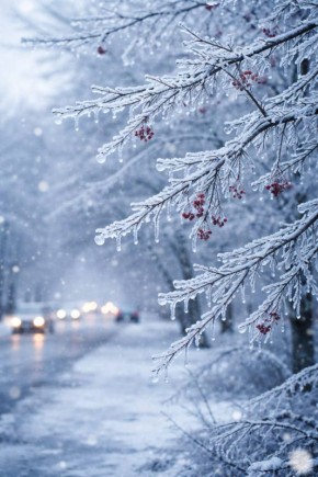 В Калмыкии ожидается ухудшение погодных условий