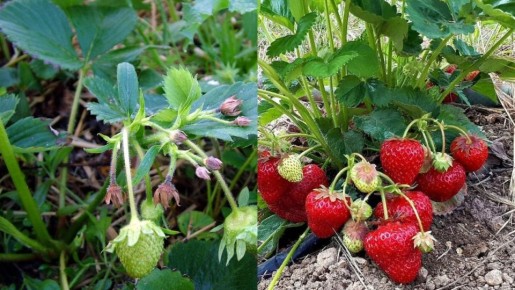 ������� �������� ��������: ��� ���� ���������� ����� � ����������� �����������