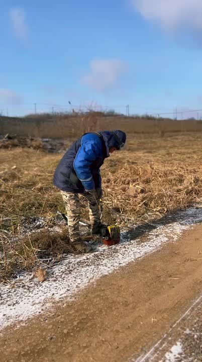 ������ �� ��������������� ������������ � ������ ������