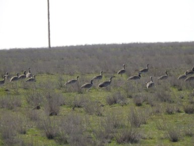 ������� � ������ �������� ���� �������� ����