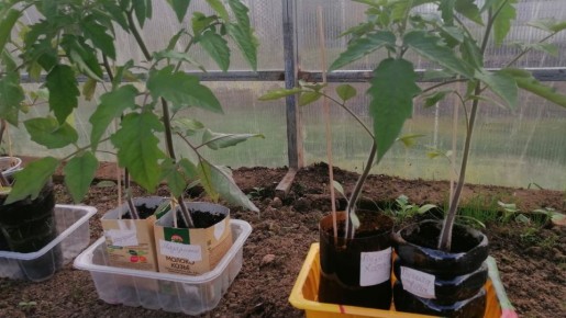 Как приготовить идеальную питательную смесь для рассады всего за 18 рублей