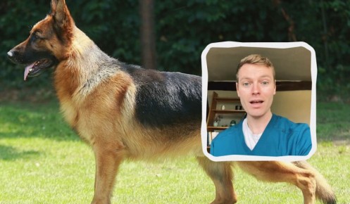 ������ ��������� ������ ����� �� ��� �������: ������ ����������