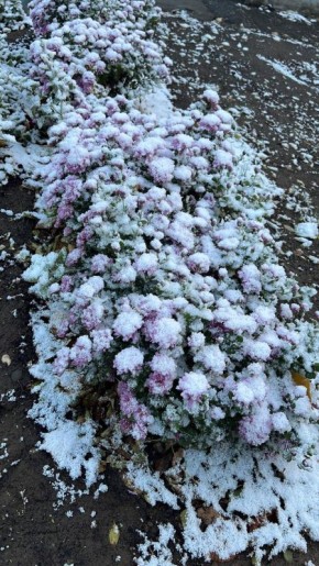 ������ ����!. ������� 15 ������, �������, �� ������������ ��� ������ �� ���� ����