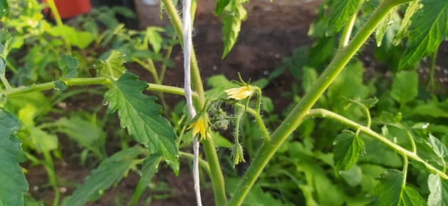 ����� �������� ������ ����� � �������? ������������ ������� ������