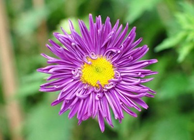 �����-���������� �����: ��� ��������, ������� ����������� ������