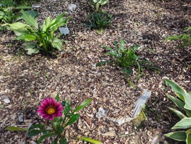 ��� ����� ���������� ������: ��� ������� �������� ��� ���������� ���������