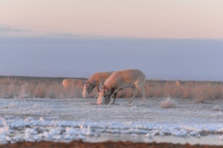 ������ ����� ��������. � ���������� ����� �������� ������������ � ����������� ������ � �� ������ ������, ��� ���� ���������� ��� ����