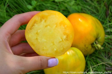 ��������� ����� ��� ������ �������: ��� � ����� '��������� ��'