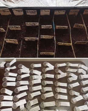 ��� ������ ��������� �������: ������ ������� ��������