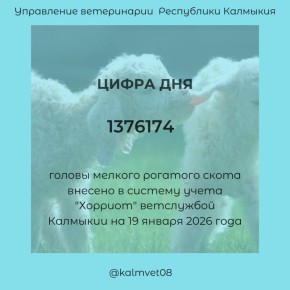 ����� ��� �� ���������� ����������� ���������� ��������