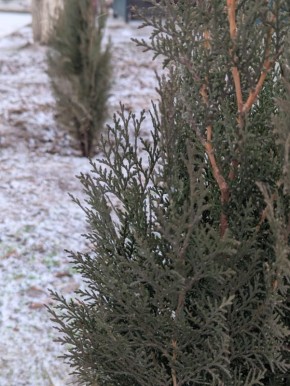 ������ ����!. ������� 24 ������, �������, �� ������������ ��� ������ �� ���� ����