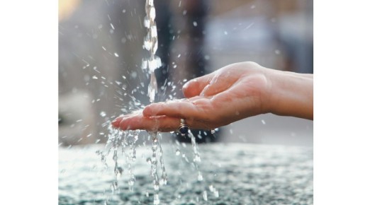 ���� �� �������� �������: ������ ����������� � �������