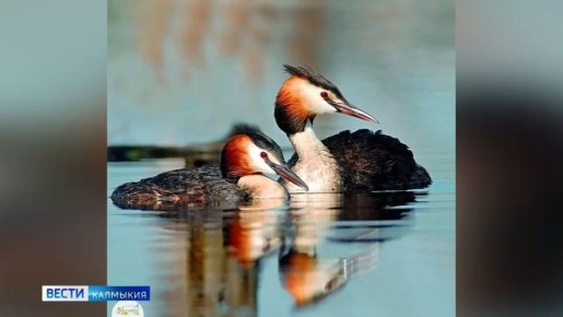 ���� ������ ���� ������ ������� �����, ��� ������� �������, �������� ����� ���� 2026