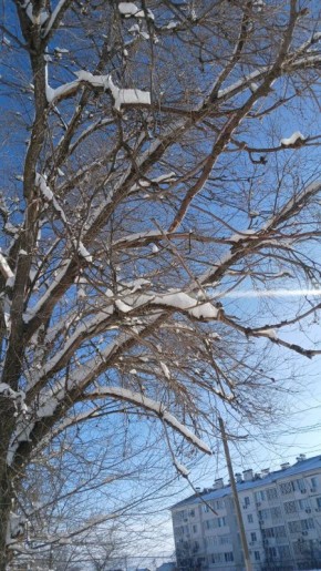 ������ ����!. ������� 27 ������, �������, �� ������������ ��� ������ �� ���� ����