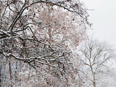 ��� �������� ������� ��� �� ������� ������� ����� � ��������� �������� �����