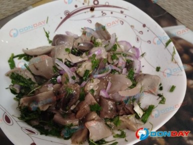 ��� ������� ������� ���������: ��������� ������ �� ������� �������