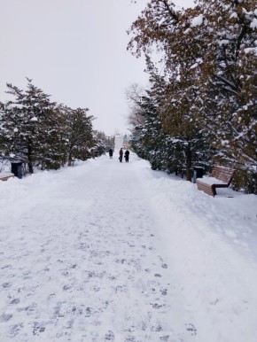 Доброе утро!. Сегодня 29 января, четверг, мы представляем вам погоду на этот день