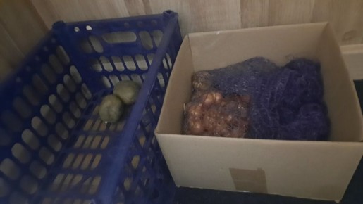 ��������� ������ �� �����: ������� ����������� ������ ��� ���� � ��������