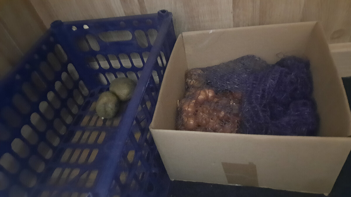 Сохраните урожай до весны: простые проверенные приемы для дома и квартиры