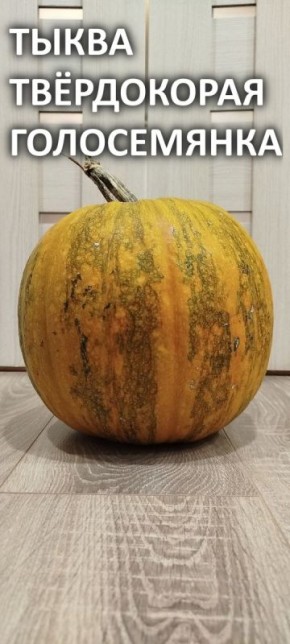 ����� ����c������: ��������� ��� �� ����������� � ����� ������