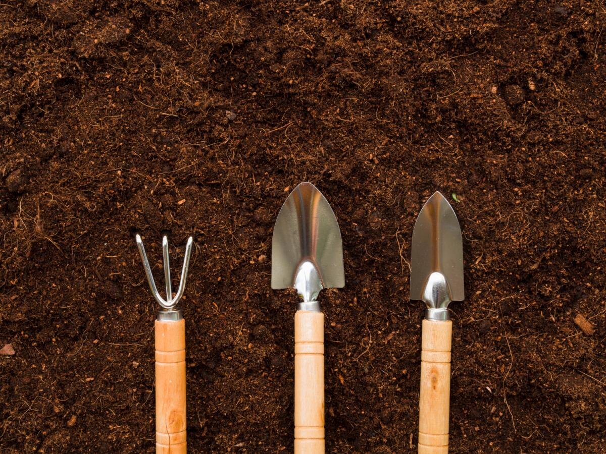 Как вернуть растениям здоровье: секреты выбора удобрений с калием