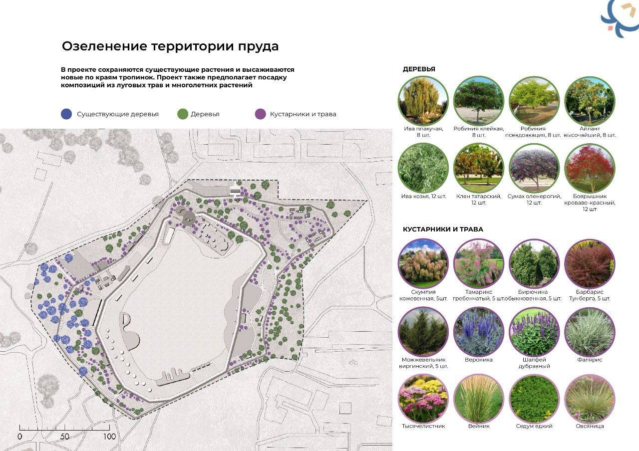 Проект Колонского пруда одобрен единогласно Проект Колонского пруда одобрен единогласно