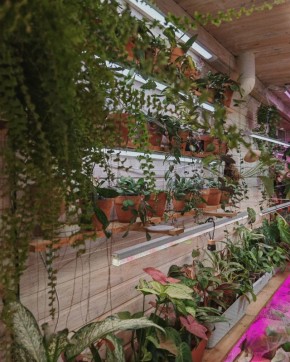 ��� ������ � ��������� ��������� �� ������� � �������