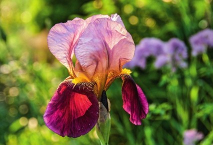 ��� ��������� ������ � ����� ����: ����� � �� �������