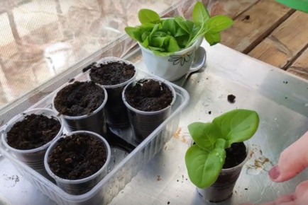 ����� ����� ������ ������� �������: 10 ������������, ������� ������������ �� �����