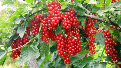 ����� ����� ��������� � ����� ��� �������� ����: ��� ��� �������� �� ����� �������� ���������