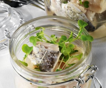 ������ ������������ ������ � ����� ���� � �������