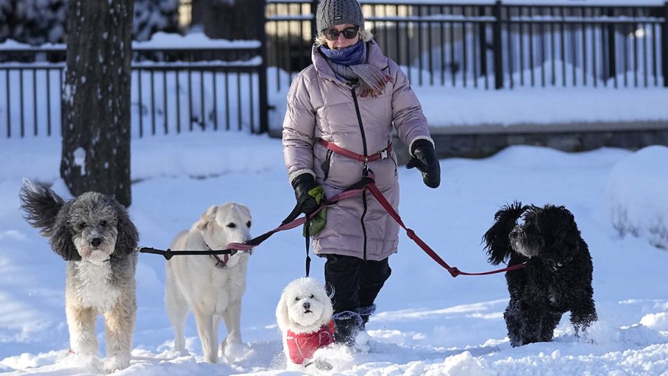 ������� ������������ ����������� ������������� �� 2026 ���