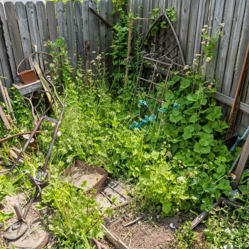 ������� ������ � ���������: ��� ������� �������� ��� ��������