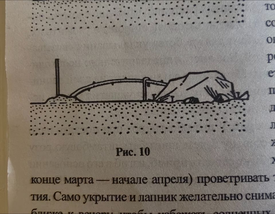 ������ �������� ���� ���� �������� � �� ������ ����