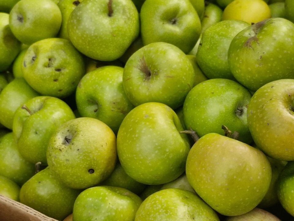 ��� ��������� ���� ������: ������ ���������������� ��� ������������ ������