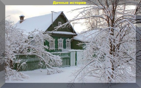 ������� �������� ����: ������� �� 20 ���������� �������� �����������