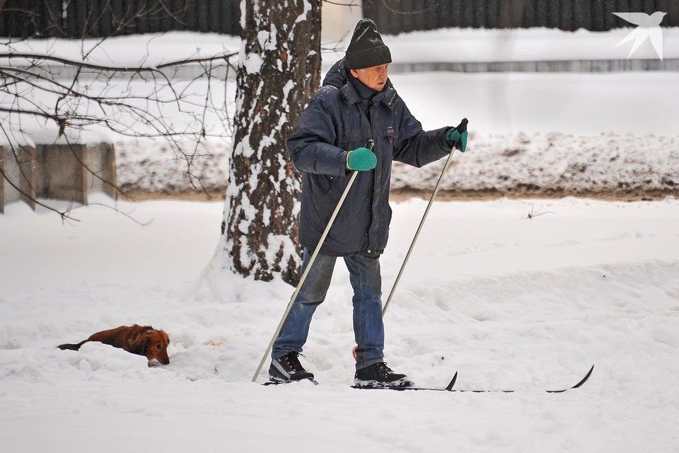 Льготы для пенсионеров в Беларуси: от бесплатного проезда до скидок на услуги