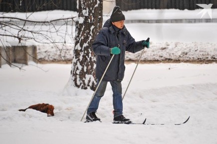 ������ ��� ����������� � ��������: �� ����������� ������� �� ������ �� ������