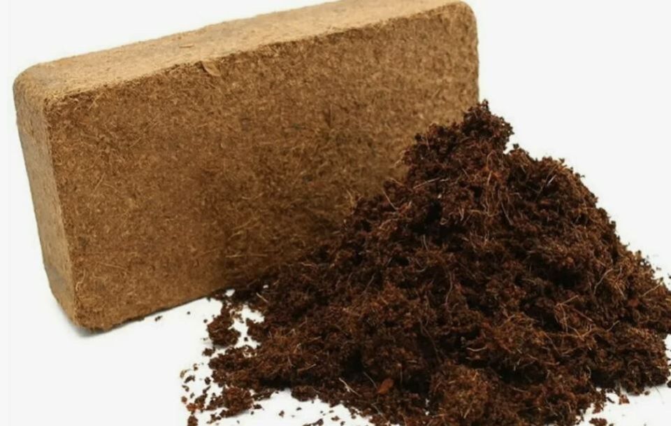 Как избежать проблем с кокосовым субстратом: причины и решения