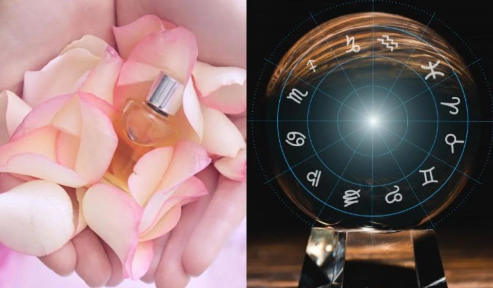 Ароматы для знаков Зодиака: от бергамота до мускуса