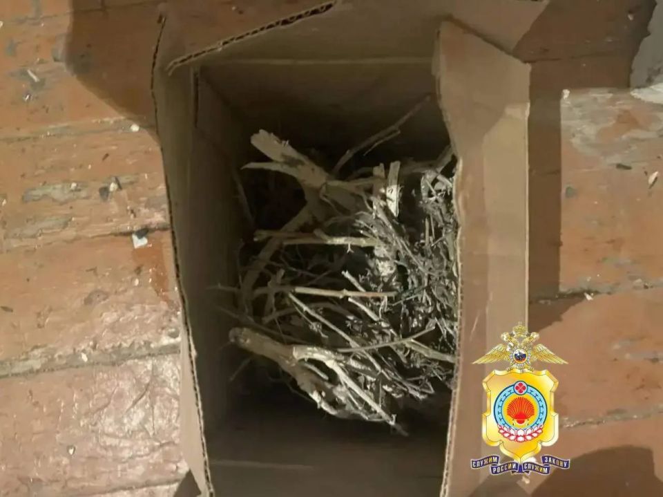 � ��������� ������ �������� ������� ������ �� ���������� � ���������� �������� ����������