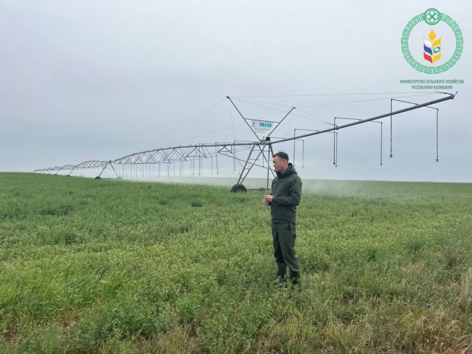 В Калмыкии введут в оборот земли сельхозназначения в трёх районах