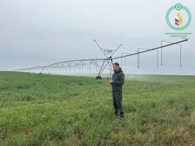 � �������� ������ � ������ ����� ����������������� � ��� �������