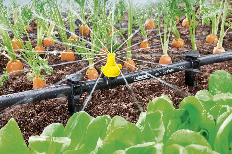 Как обеспечить сад и огород влагой, не утопив их в воде