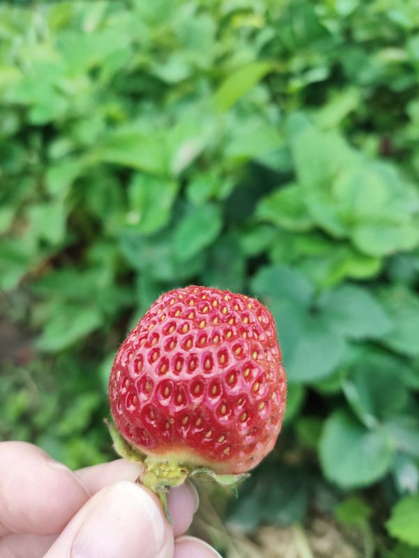 ��� ��������� ���������� � �������� ����� ����� ������ � ����: ������ � ������������