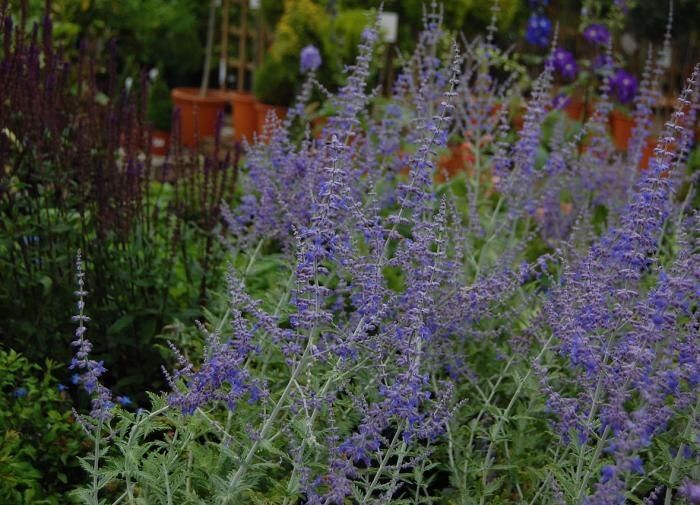 ������: ��� ��������� � ������������ � ����