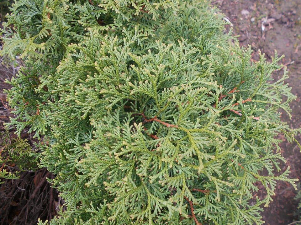 ���: ������� �������� ������� ��� ���������� ���������