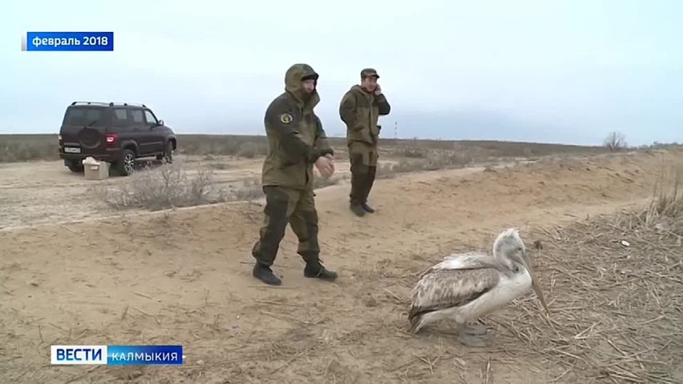 ��������� ��������� �������� ������ ���������� ������ ����-��� ���������� ������